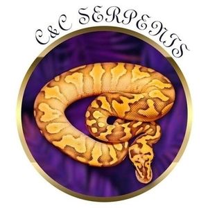 Meet your Posher, Larry